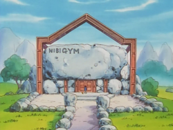 Pewter Gym original.png