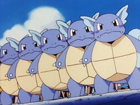 Team Wartortle