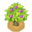 BelueTreeBerryVI XY.png