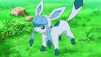 Cynthia's Glaceon