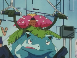 Kumquat Island Venusaur.png