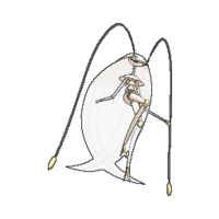 Pokédex Image Pheromosa USUM.png