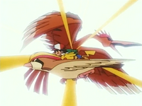 Ash Pidgeot Quick Attack.png