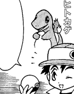 Oak Charmander Zensho.png