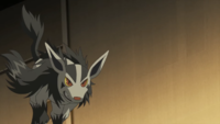 Team Magma's Mightyena