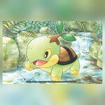 Turtwig