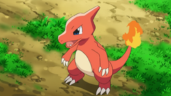 Ash Charmeleon.png