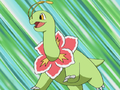 Meganium (before adding gender difference)