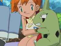 Ash Larvitar Harden.png