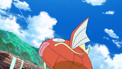 Magikarp SM033.png