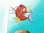 Oralie Magikarp.png