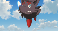 Zorua Scratch.png