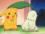 Chikorita's Big Upset