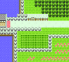 Kanto Route 18 GSC.png