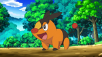 Nanette Tepig.png