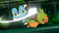 Ash Froakie Pound.png