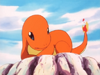 Charmander – The Stray Pokémon