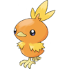 Torchic