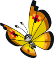 Continental Vivillon