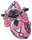 786Tapu Lele Dream.png