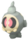 Doll Duskull VI.png