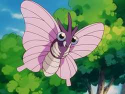 National Park Venomoth.png