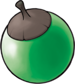 Green Apricorn