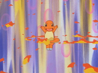 Ash Charmander Ember.png