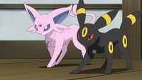 Soleil Espeon Umbreon.png