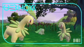 Pokédex Image Bayleef SV Blueberry.png