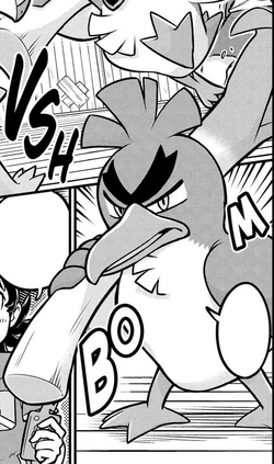 Ash Farfetch'd JNM.png