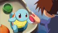 Professor Oak's Squirtle