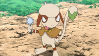 Laki's Smeargle