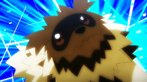 Rocket Prize Master Zigzagoon.png