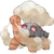 0324Torkoal.png