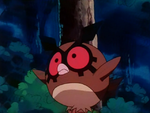 Ash Hoothoot.png