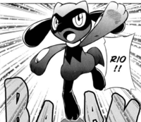 Hareta's Riolu