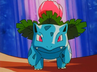 Assunta's Ivysaur