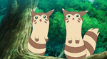 Furret anime.png