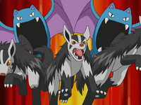 Team Magma's Mightyena