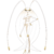 0795Pheromosa.png