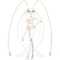 795Pheromosa.png