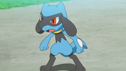 Ash Riolu.png