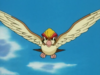 Giant Pidgeot.png