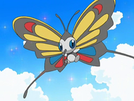 May Beautifly.png