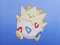 Misty's Togepi