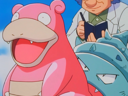 Westwood Slowbro.png