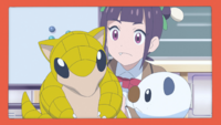 Ann's Sandshrew