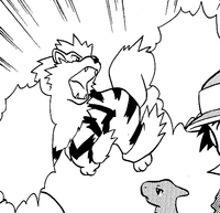 Blaine's Arcanine