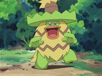 Poncho's Ludicolo